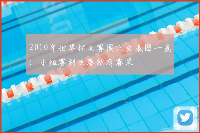2010年世界杯决赛圈比分表图一览：小组赛到决赛所有赛果
