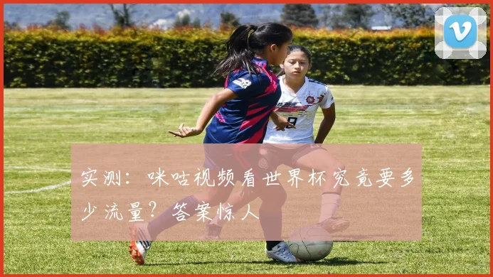 实测:咪咕视频看世界杯究竟要多少流量?答案惊人