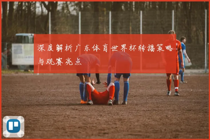 深度解析广东体育世界杯转播策略与观赛亮点
