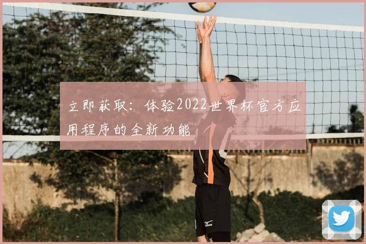 立即获取:体验2022世界杯官方应用程序的全新功能